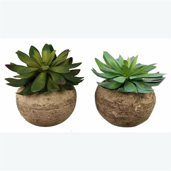 Patio Trasero Succulent & Stone Like Pot, Assorted Color - 2 Piece PA3280445